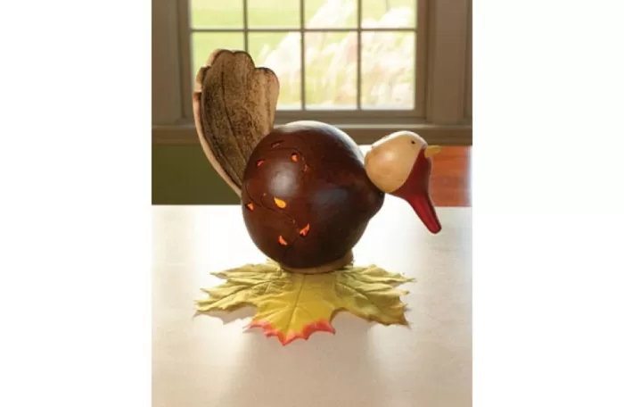 Simply Christmas Trent The Turkey* Painted Gourds